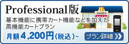 Professional�ŁF��{�@�\�Ɍg�уJ�[�g�@�\�Ȃǂ����������@�\�J�[�g�v���� ���X4,200�~�i�ō��j�`