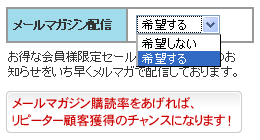 メルマガ購読オプションイメージ