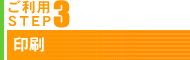 pSTEP3 