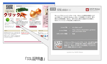 SSLؖ