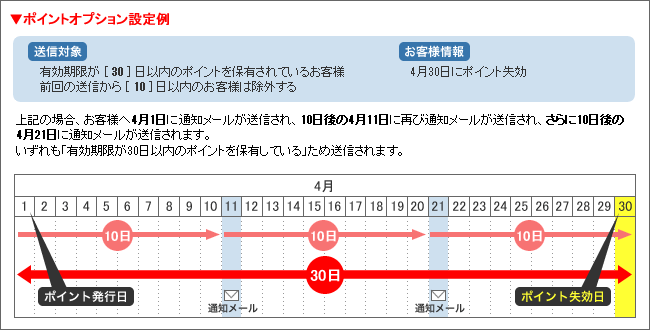 ポイントオプション設定例